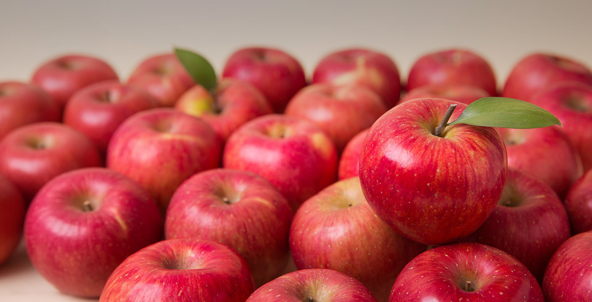 비쥬얼 슬라이드 이미지