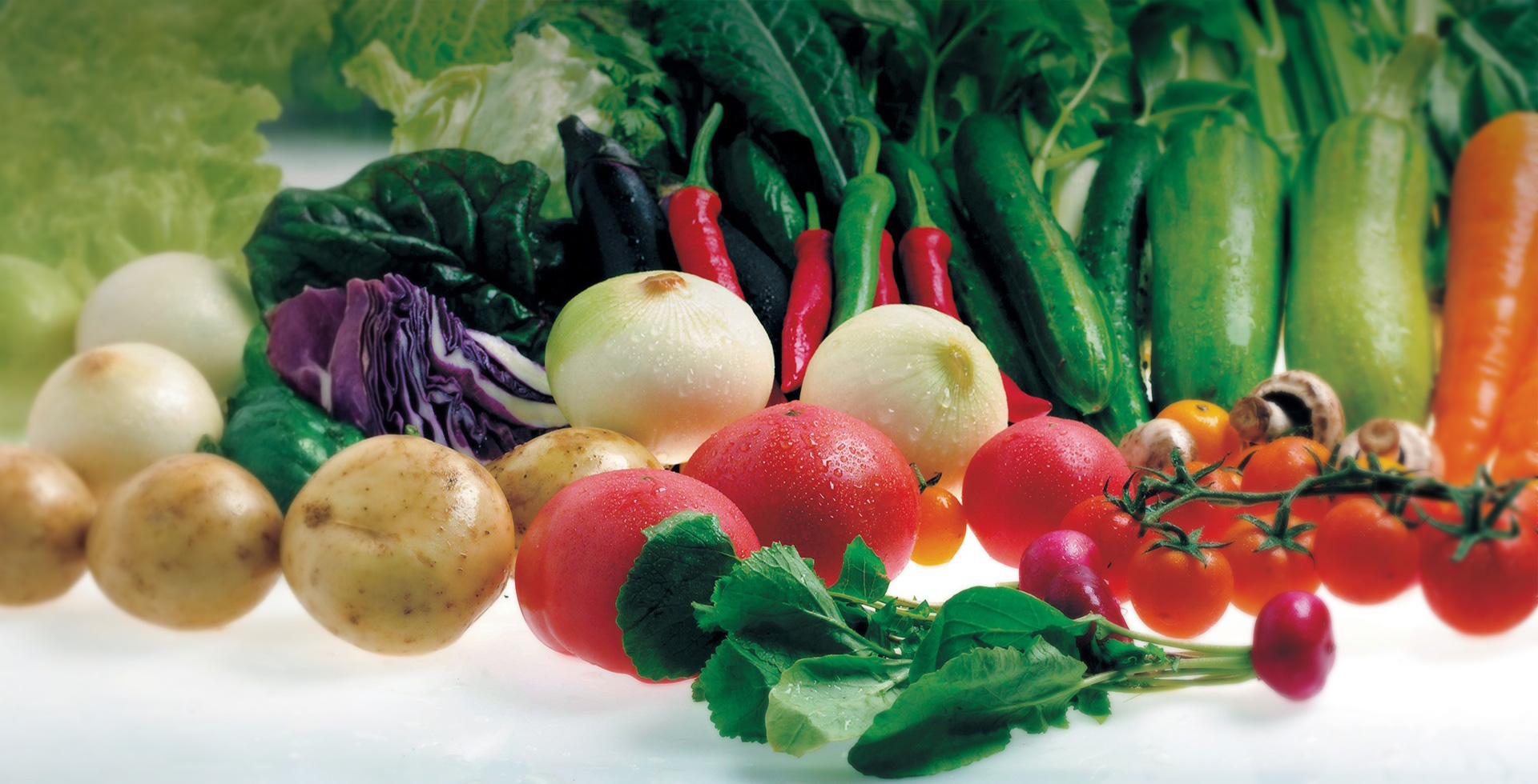 비쥬얼 슬라이드 이미지