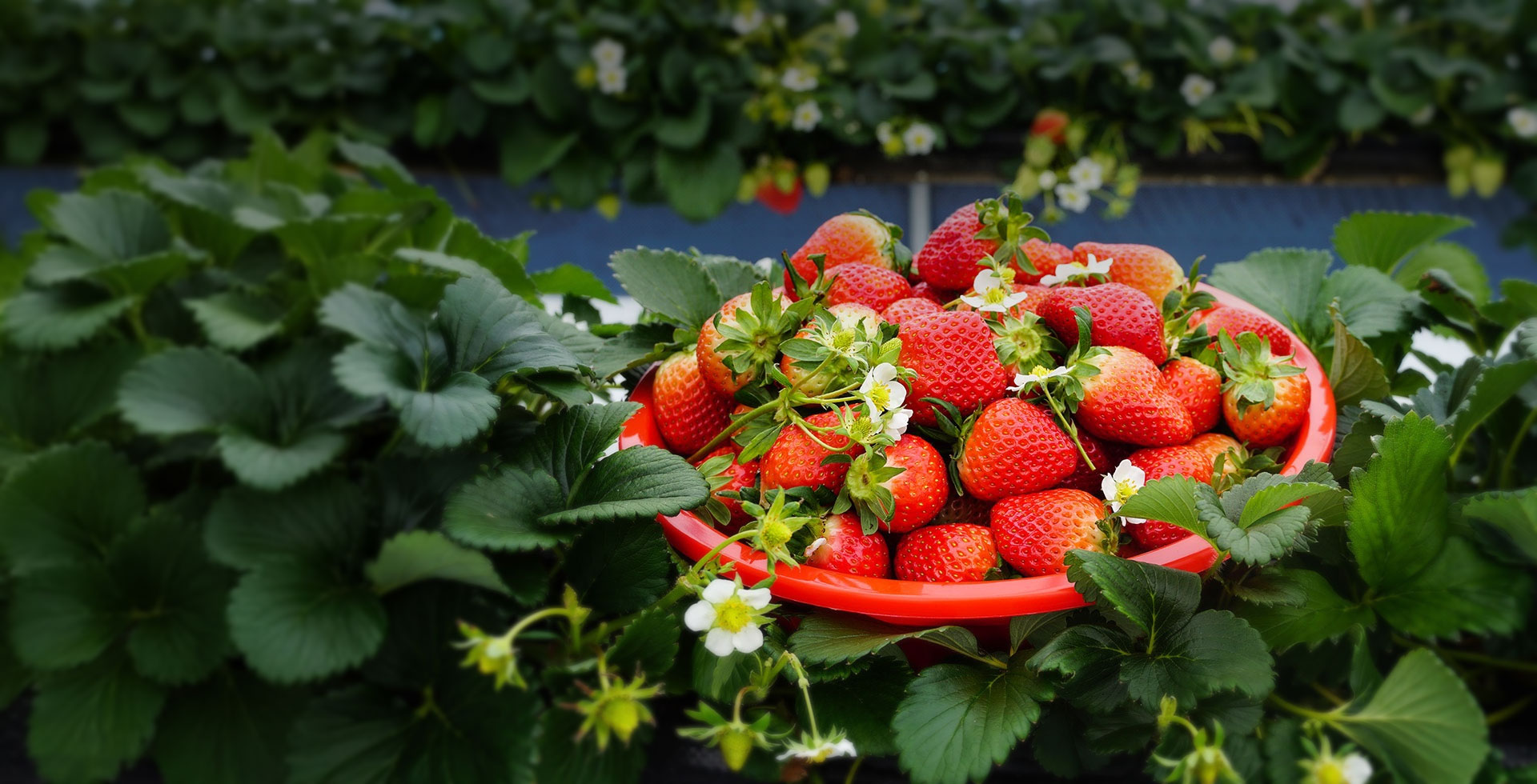 비쥬얼 슬라이드 이미지