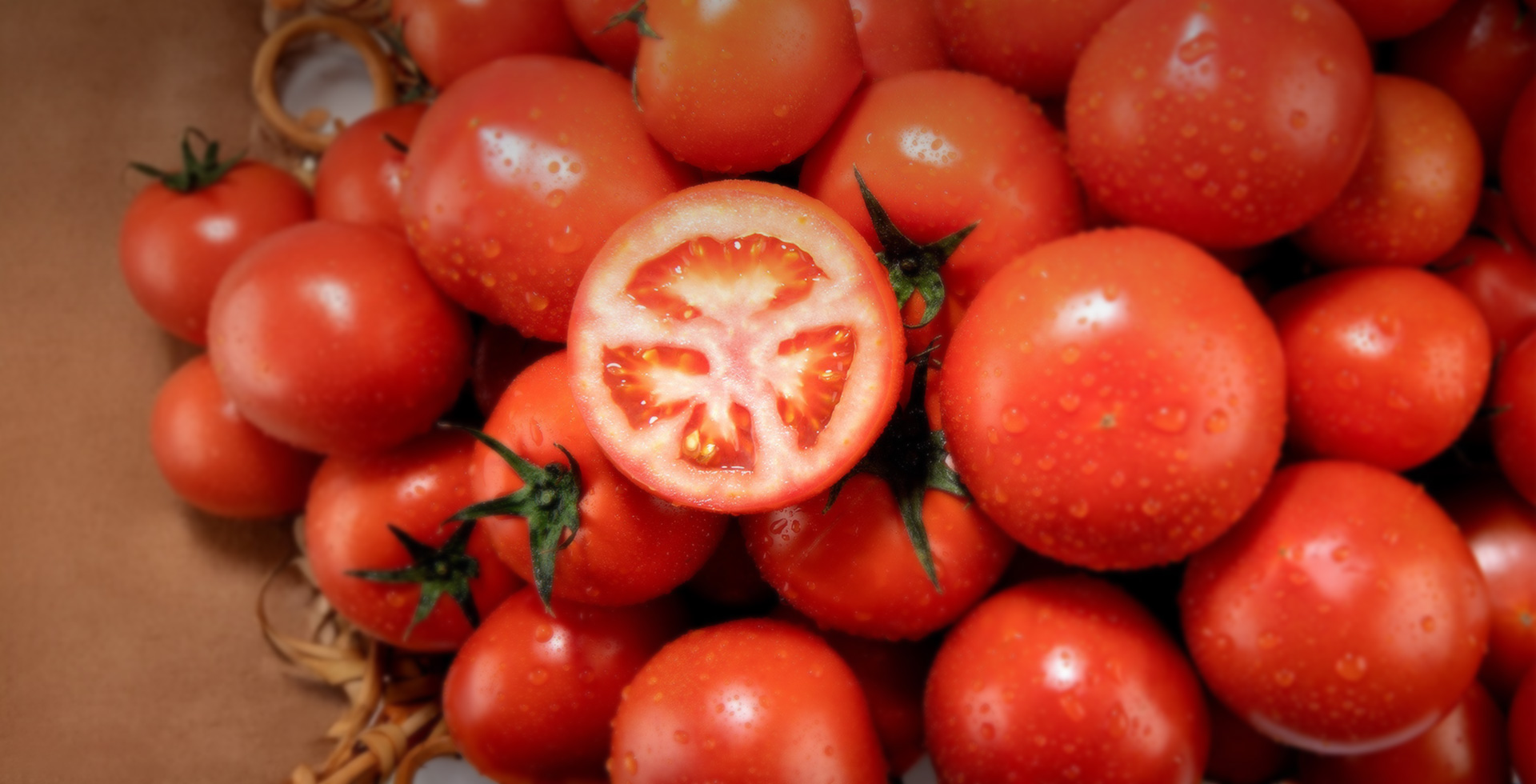 비쥬얼 슬라이드 이미지