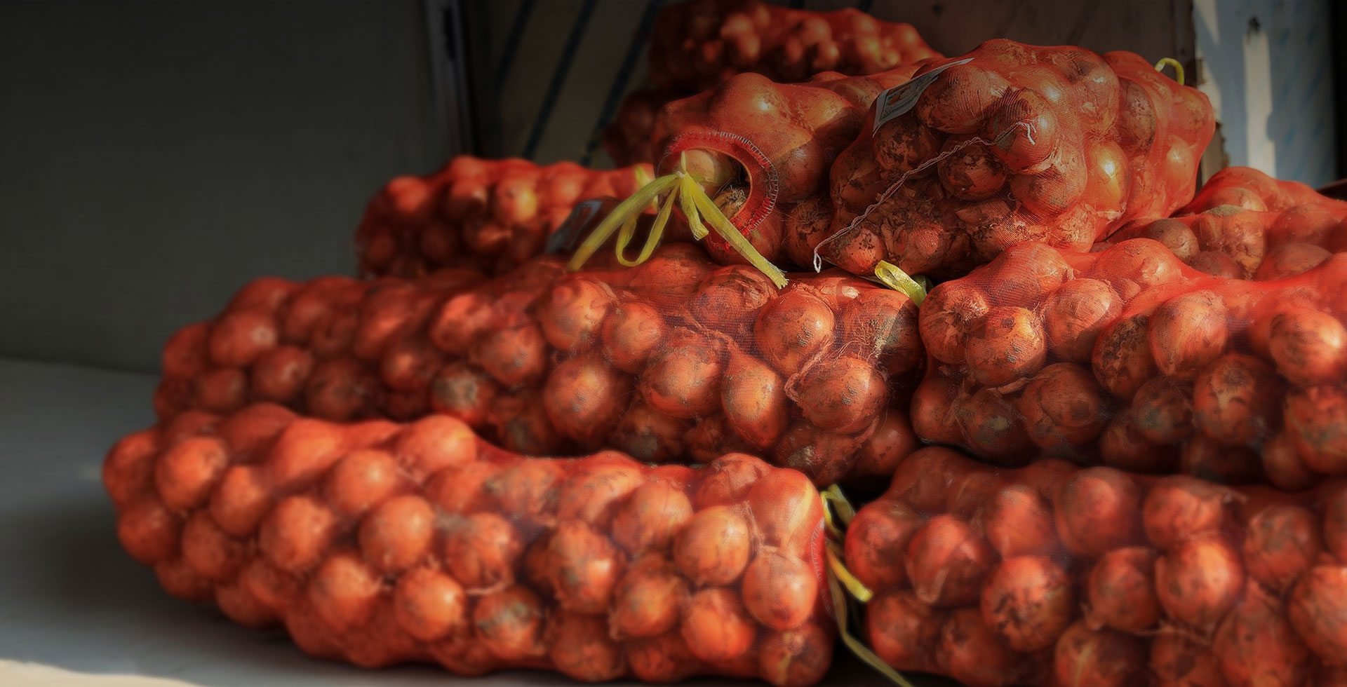 비쥬얼 슬라이드 이미지